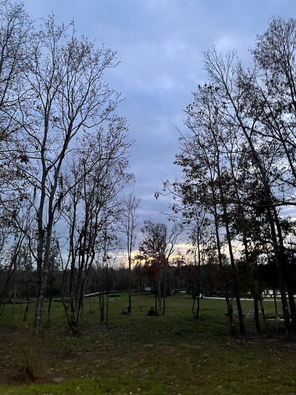 A Florida sunset