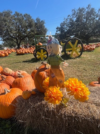 A pumpkin patch at the Presbyterian Church 