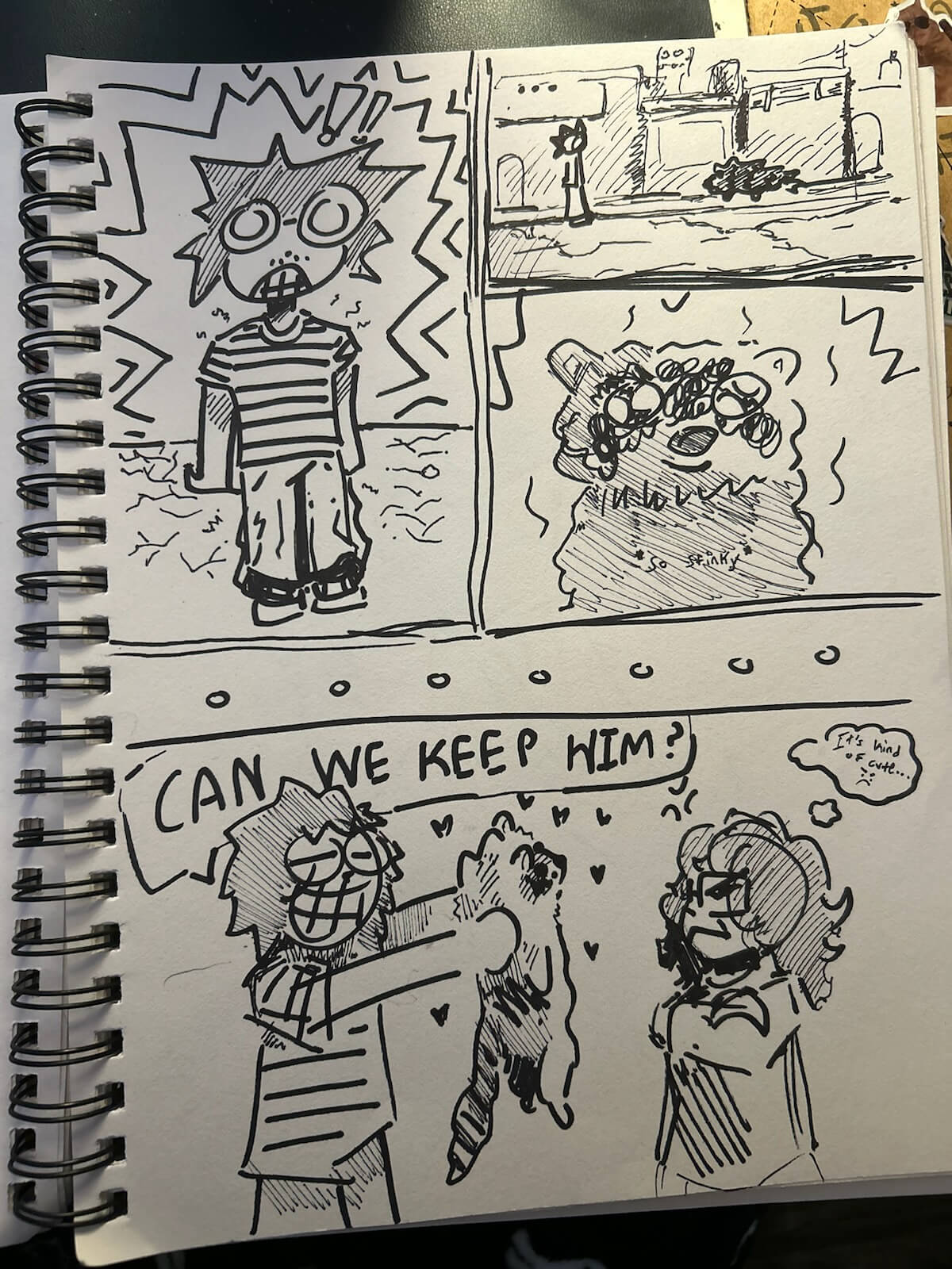 A cartoon about a raccoon